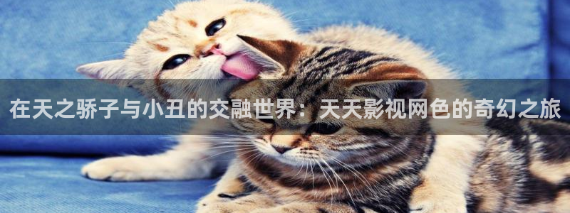 精东影业国产：在天之骄子与小丑的交融世界：天天影视网色的奇幻之旅