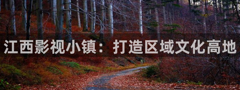 精东影业国产传媒：江西影视小镇：打造区域文化高地