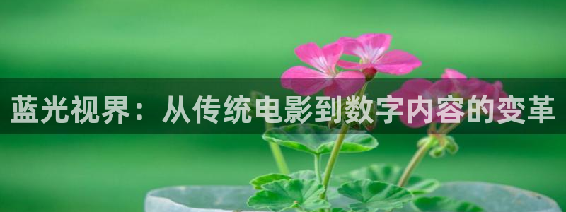 星空传媒精东影业：蓝光视界：从传统电影到数字内容的变革