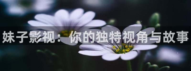 精东影业东京热