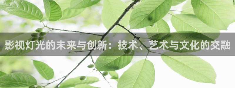 精东影业精东传媒在线